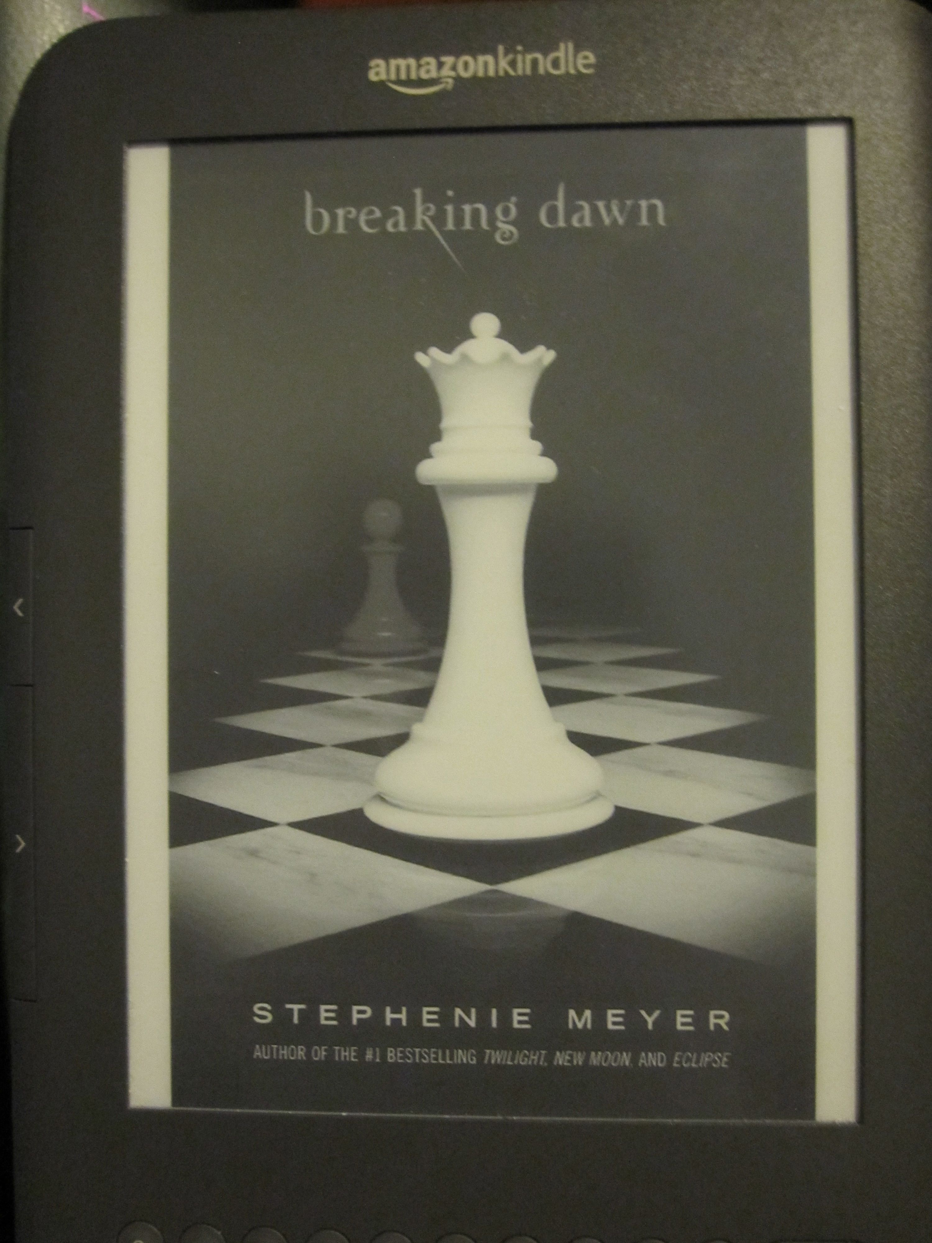 breaking dawn novel