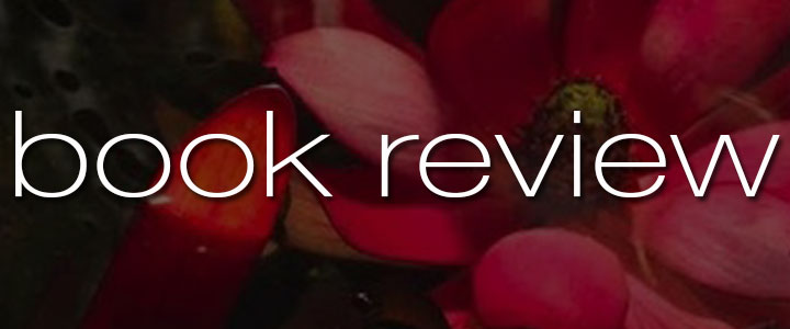 Book Review Spells Aprilynne Pike