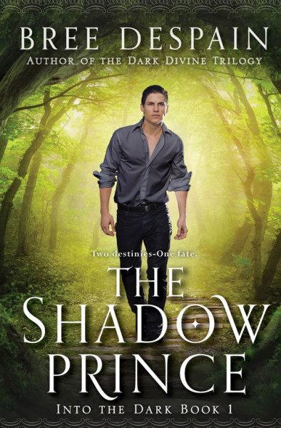 Exclusive Teasers from The Shadow Prince by Bree Despain