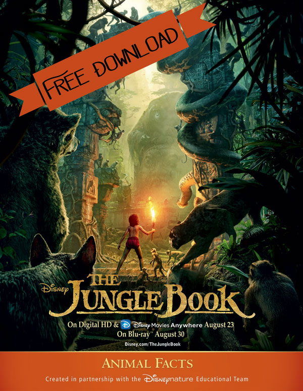 Disney Jungle Book Free Activity Worksheet Download